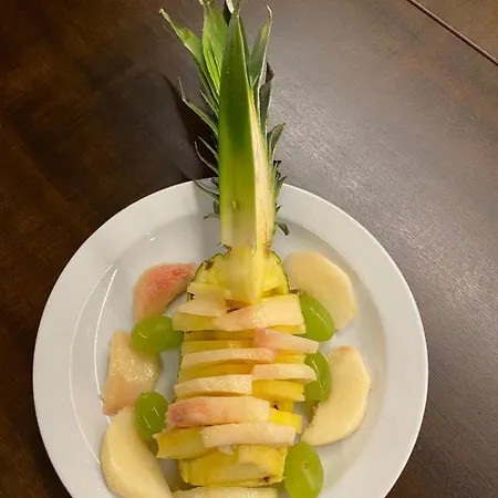 Ricaroka Exclusive & Konukevi Albenga