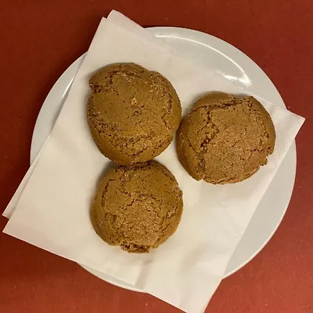 Ricaroka Exclusive & Konukevi Albenga