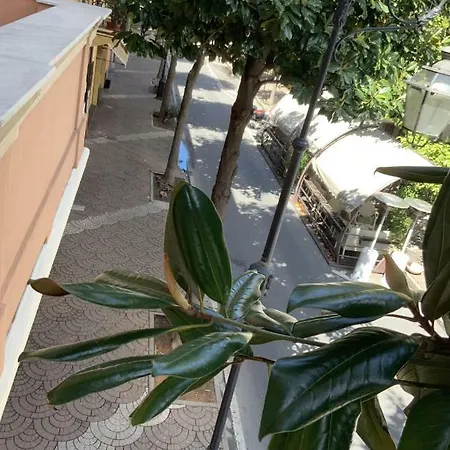 Ricaroka Exclusive &