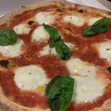 Ricaroka Exclusive &