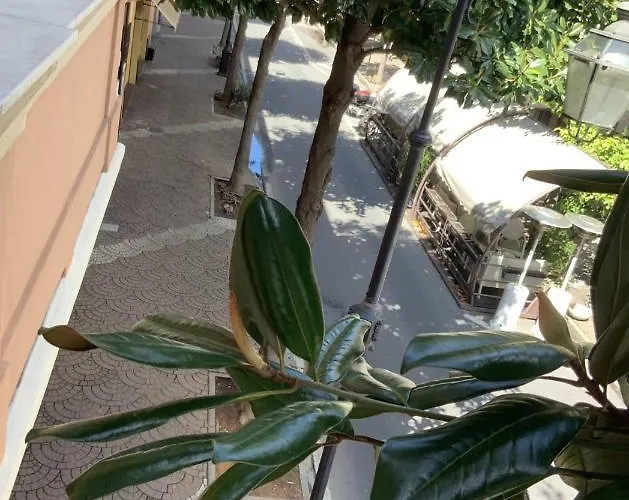 Ricaroka Exclusive &